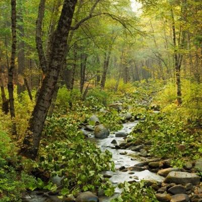 半岛·综合体育官方网站